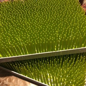 2 LAWN boon grass drying rack